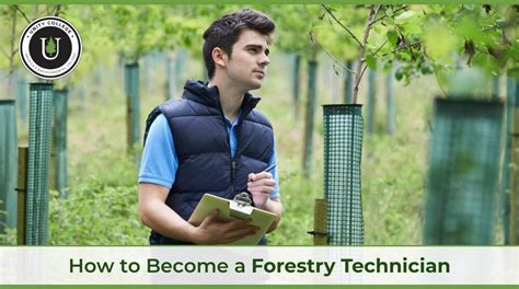 What Does A Forest Technician Do: Duties And Responsibilities .